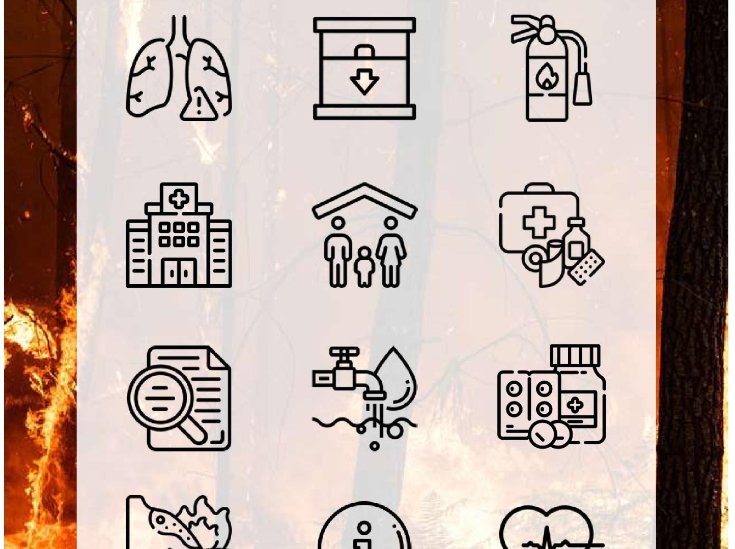Widfires brochure