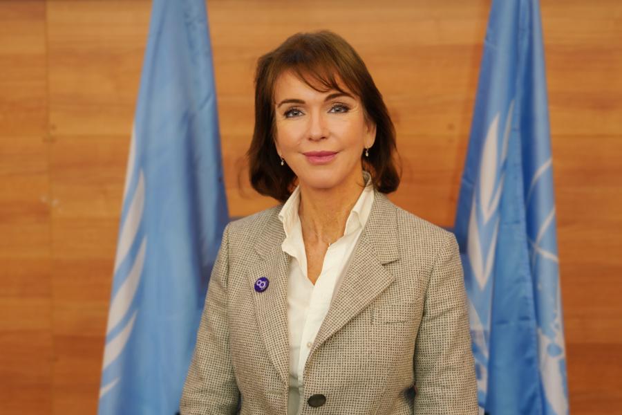 Developmennt Coordintor for UN in Kosovo