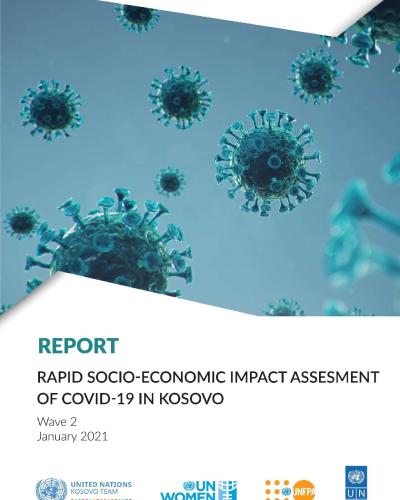 Rapid Socio-Economic Impact Assessment 2