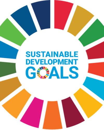 Sustainable Development Goals Brochure | United Nations in Kosovo