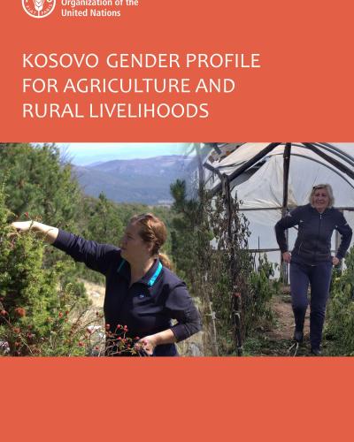 KosGenderAgriProfile