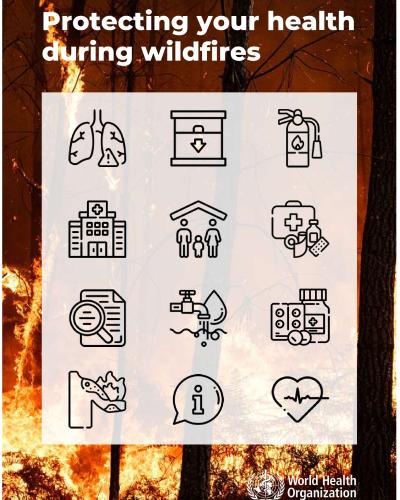 Widfires brochure